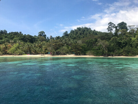 泰國甲米綠意盎然的熱帶島嶼風光