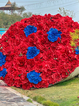 紅藍(lán)花朵巨型花卉景觀