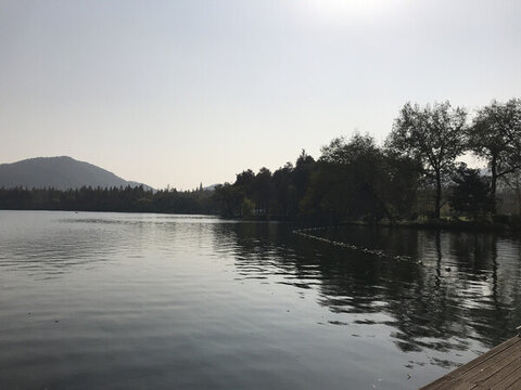 杭州西湖湖畔風(fēng)光靜謐自然景致
