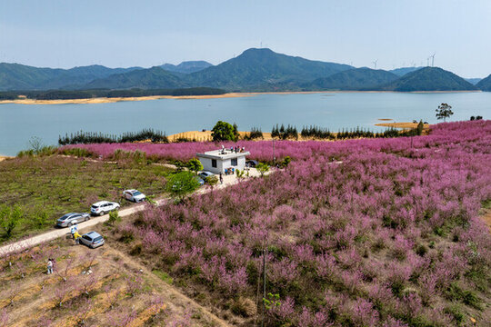 中國廣西富川縣龜石水庫風景如畫
