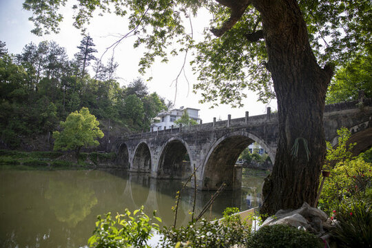 河畔古橋與蔥郁綠樹(shù)景致