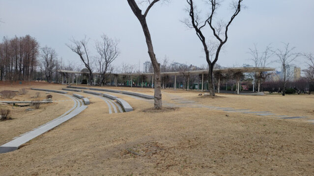 空曠蕭瑟的公園景觀