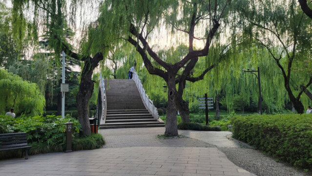 垂柳環(huán)繞的公園石橋景致