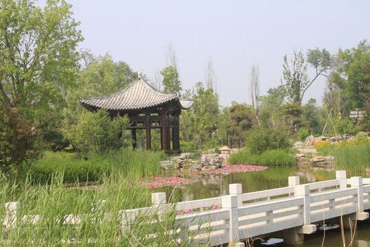 滄州園博園