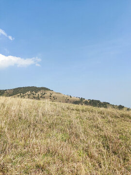 藍(lán)天曠野中的山坡草地