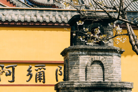 武漢龍華寺櫻花盛開