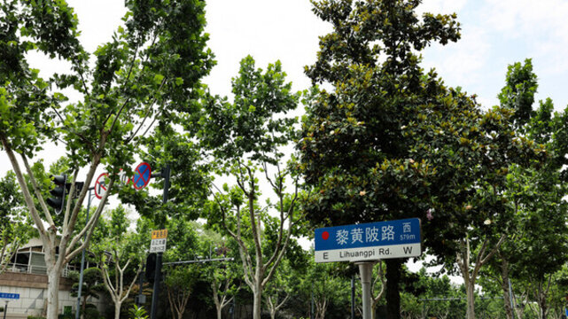 黎黃陂路