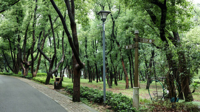 武漢東湖落雁景區(qū)