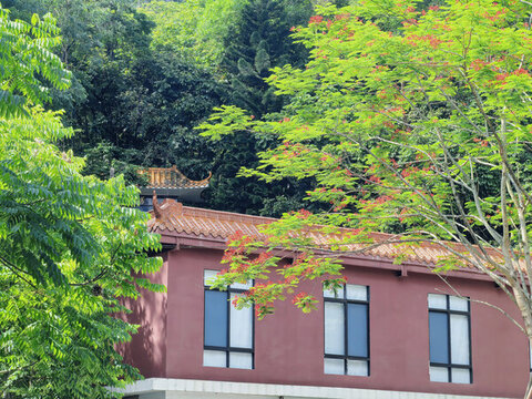 紅墻綠樹間的中式建筑一角