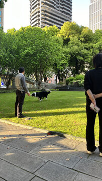 城市公園中人與寵物的時(shí)光