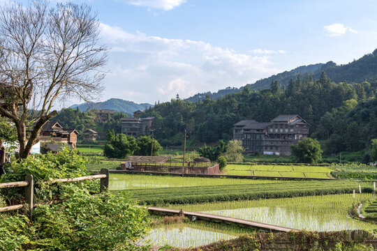 春天鄉(xiāng)村風(fēng)光