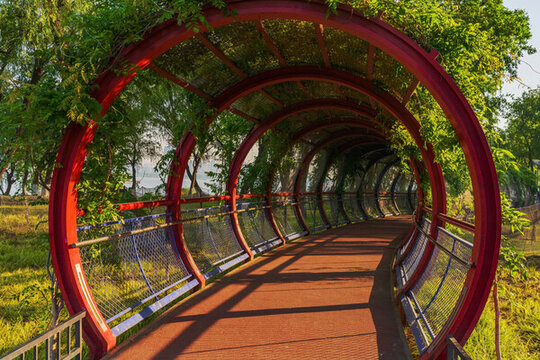 南京大橋公園的綠植和步道和自然風(fēng)光