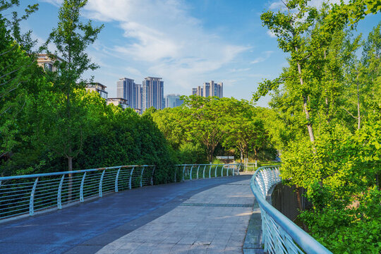 南京大橋公園的綠植和步道和自然風(fēng)光