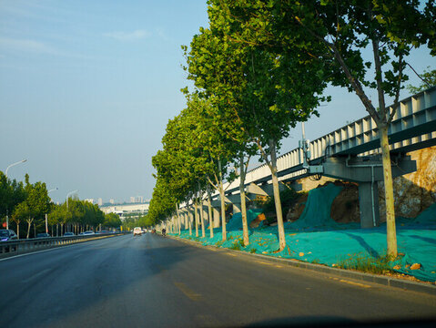 濟(jì)南高新區(qū)云軌公路旁綠樹與高架橋風(fēng)景