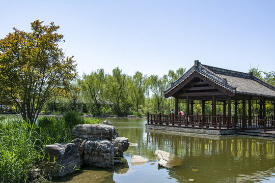 湖邊風景