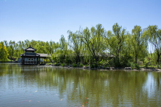 湖景