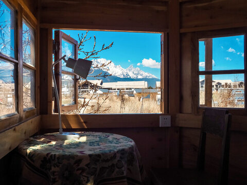 荒野之國樹屋