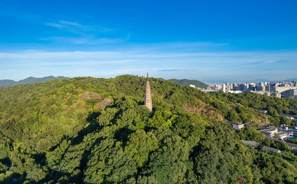 杭州市西湖風(fēng)景區(qū)保俶塔