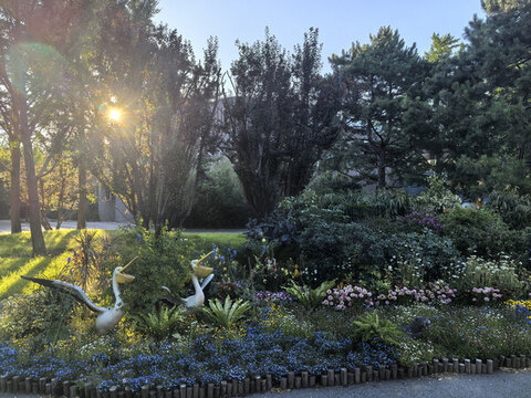 陽光下的花園與可愛鵜鶘雕塑