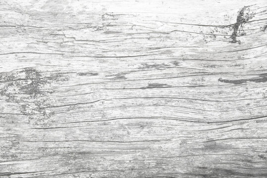 灰白紋理老舊木板素材