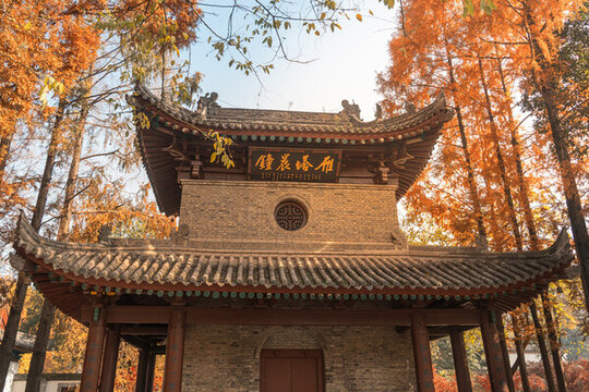 西安小雁塔鐘樓雁塔晨鐘的秋景