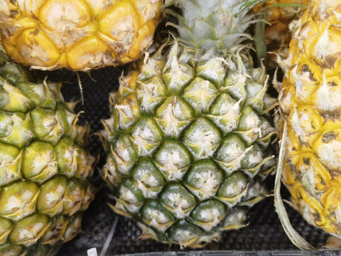 菠蘿鳳梨