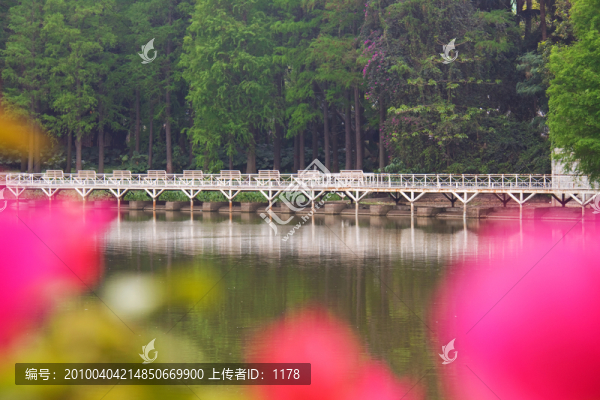 公園釣魚臺(tái)