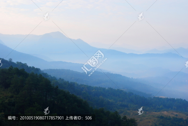 森林晨曦