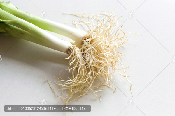 大蒜苗