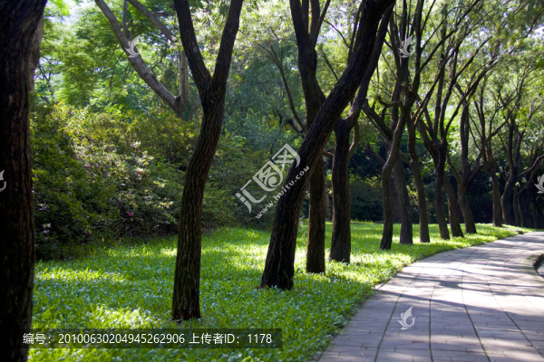 公園風(fēng)景