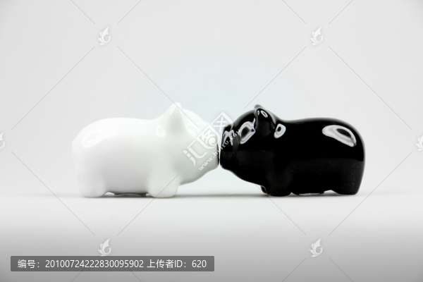 黑白豬