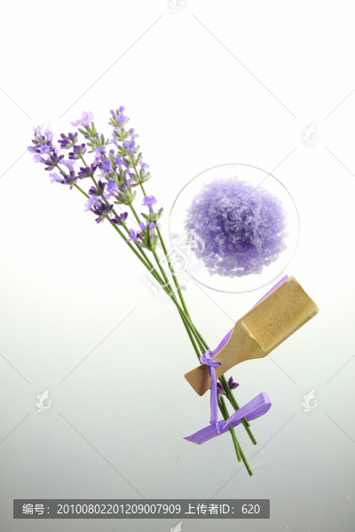 伊犁薰衣草