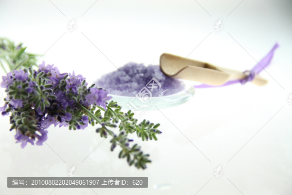 伊犁薰衣草