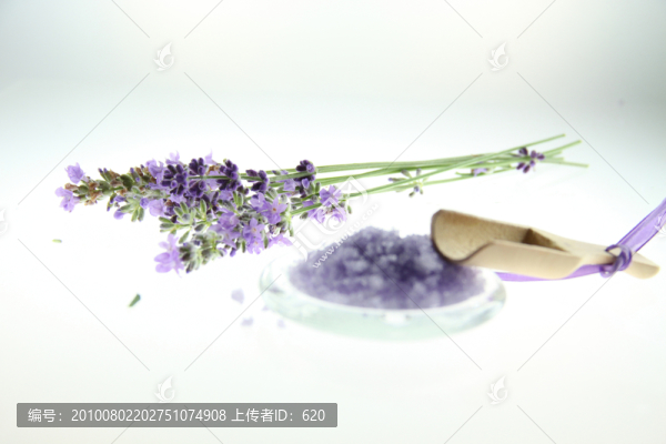 伊犁薰衣草