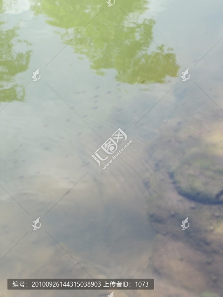 魚翔淺底