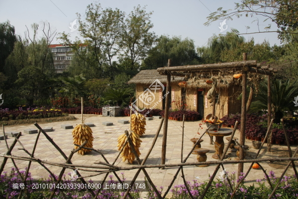 農(nóng)家小院