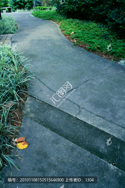 道路