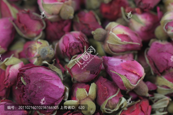玫瑰花