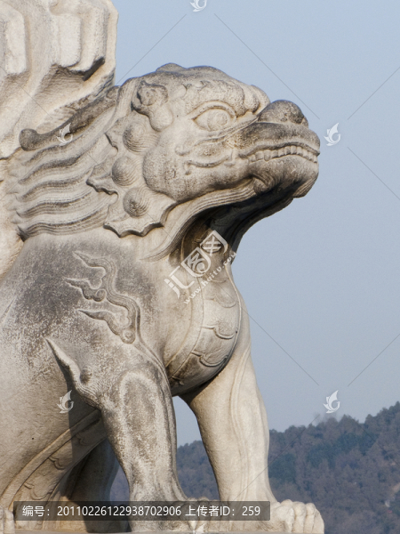 頤和園石獅