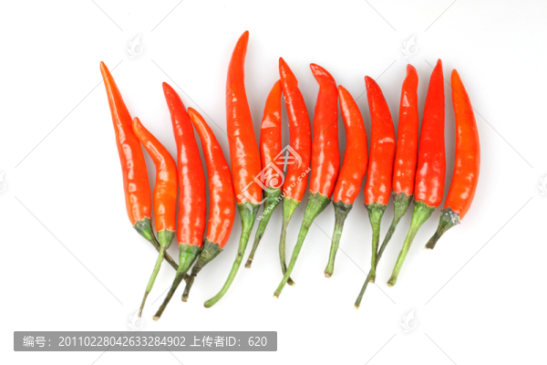 紅辣椒