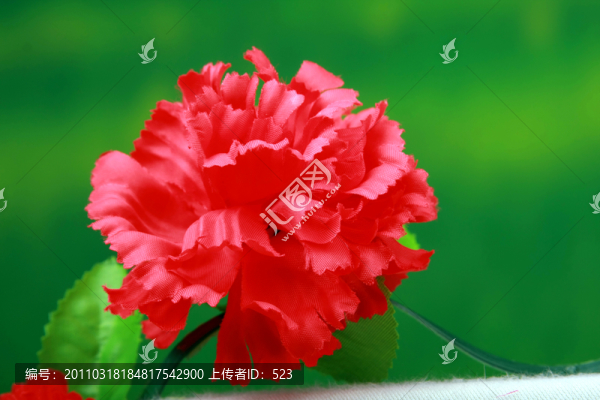鮮花