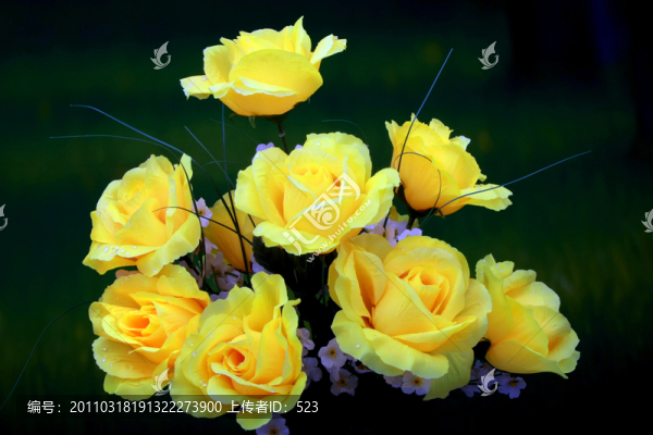 黃玫瑰花