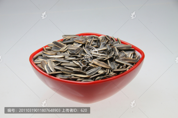 瓜子