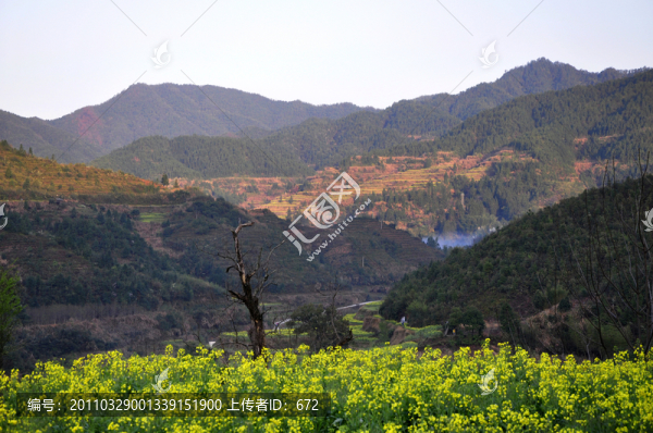 慶源山丘