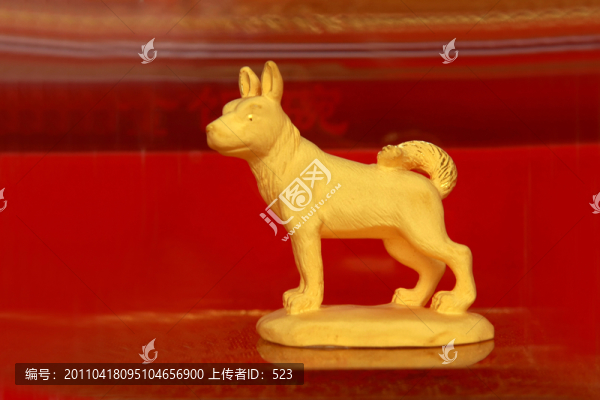 金狗