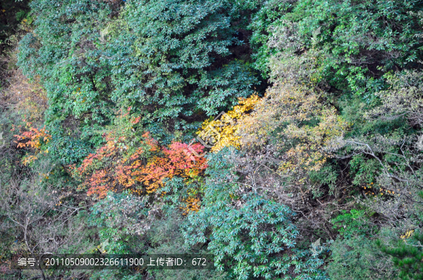 黃山西海大峽谷