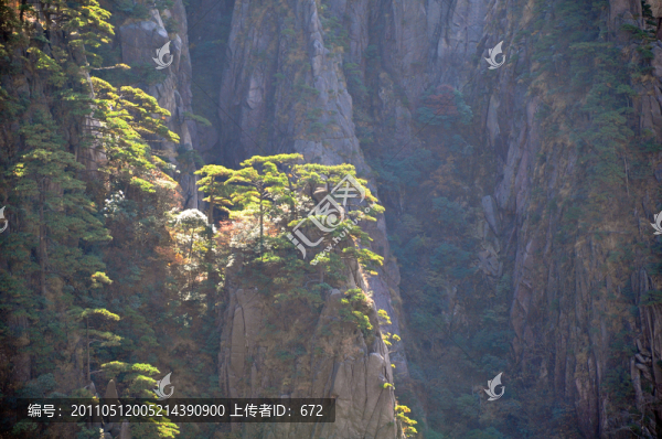 黃山奇峰