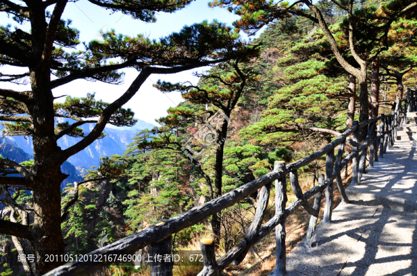 黃山風景