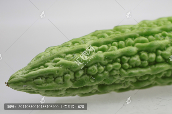 苦瓜