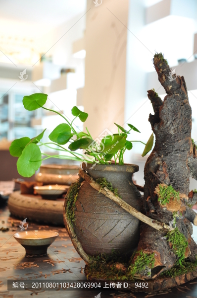 茶幾花壇